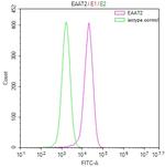 GLT-1 Antibody in Flow Cytometry (Flow)