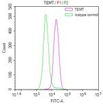 INMT Antibody in Flow Cytometry (Flow)