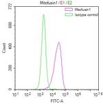 MFN1 Antibody in Flow Cytometry (Flow)