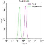 PKN2 Antibody in Flow Cytometry (Flow)