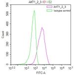 AKT Pan Antibody in Flow Cytometry (Flow)