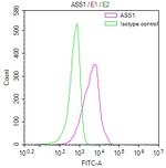 ASS1 Antibody in Flow Cytometry (Flow)