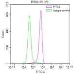 PITX3 Antibody in Flow Cytometry (Flow)