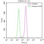 Paxillin Antibody in Flow Cytometry (Flow)