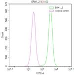 ERK1/ERK2 Antibody in Flow Cytometry (Flow)