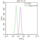 EGF Antibody in Flow Cytometry (Flow)