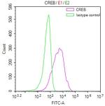 CREB Antibody in Flow Cytometry (Flow)