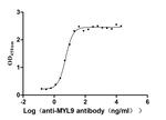 MYL9 Antibody in Neutralization (Neu)