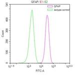 GFAP Antibody in Flow Cytometry (Flow)