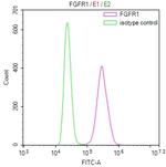 FGFR1 Antibody in Flow Cytometry (Flow)