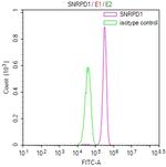 SNRPD1 Antibody in Flow Cytometry (Flow)