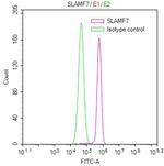 CRACC Antibody in Flow Cytometry (Flow)