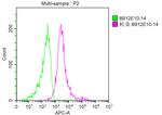 CD223 Antibody in Flow Cytometry (Flow)