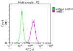 PPA1 Antibody in Flow Cytometry (Flow)