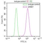 GSTM3 Antibody in Flow Cytometry (Flow)