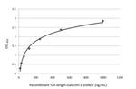 Galectin 3 Antibody in ELISA (ELISA)