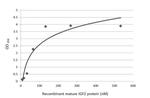 IGF2 Antibody in ELISA (ELISA)