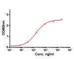 IL-1 beta Antibody in ELISA (ELISA)