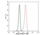 SALL4 Antibody in Flow Cytometry (Flow)