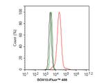 SOX10 Antibody in Flow Cytometry (Flow)