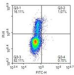 BrdU Antibody in Flow Cytometry (Flow)