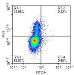 BrdU Antibody in Flow Cytometry (Flow)