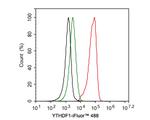 YTHDF1 Antibody in Flow Cytometry (Flow)