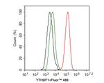 YTHDF1 Antibody in Flow Cytometry (Flow)