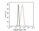 CRALBP Antibody in Flow Cytometry (Flow)