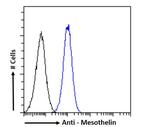 Mesothelin Antibody in Flow Cytometry (Flow)