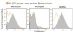 CD16/CD32 Antibody in Flow Cytometry (Flow)