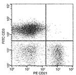 CD21 Antibody in Flow Cytometry (Flow)