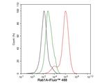 RAB1A Antibody in Flow Cytometry (Flow)