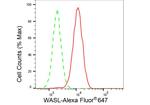 N-WASP Antibody in Flow Cytometry (Flow)