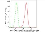 AKT Pan Antibody in Flow Cytometry (Flow)