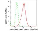 AKT Pan Antibody in Flow Cytometry (Flow)