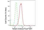 Tensin 4 Antibody in Flow Cytometry (Flow)