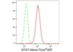 ATG7 Antibody in Flow Cytometry (Flow)