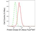 PKC mu Antibody in Flow Cytometry (Flow)