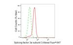 SF3A3 Antibody in Flow Cytometry (Flow)