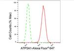 ATP5A1 Antibody in Flow Cytometry (Flow)