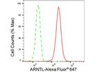 BMAL1 Antibody in Flow Cytometry (Flow)