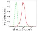 Destrin Antibody in Flow Cytometry (Flow)