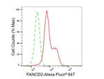 FANCD2 Antibody in Flow Cytometry (Flow)