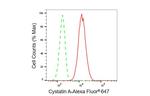 Cystatin A Antibody in Flow Cytometry (Flow)