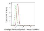 HIP1 Antibody in Flow Cytometry (Flow)