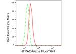 HTRA2 Antibody in Flow Cytometry (Flow)