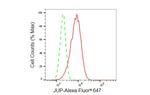 gamma Catenin Antibody in Flow Cytometry (Flow)