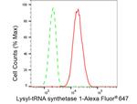 KARS Antibody in Flow Cytometry (Flow)