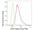 ETS1 Antibody in Flow Cytometry (Flow)